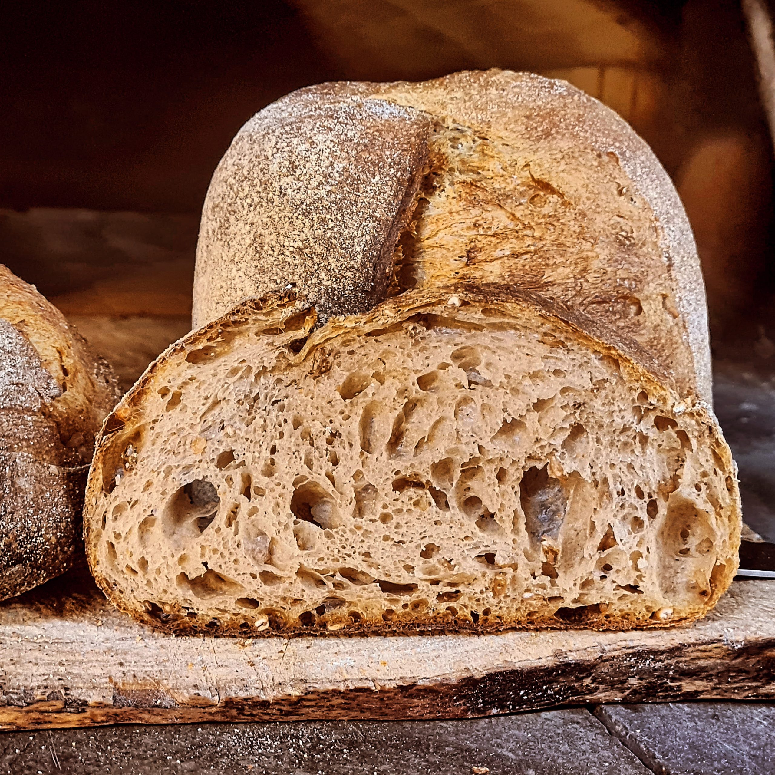 Malthouse Sourdough Crumb